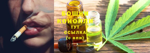 индика Беломорск