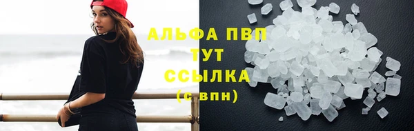 индика Беломорск