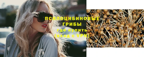 индика Беломорск