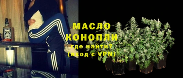индика Беломорск