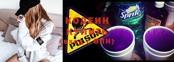 индика Беломорск