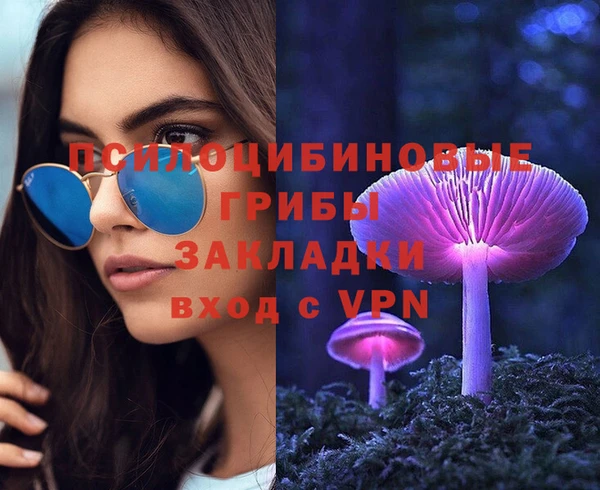 индика Беломорск