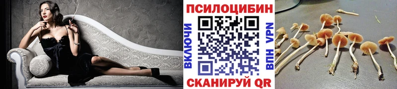 blacksprut зеркало  закладки  Малмыж  Галлюциногенные грибы MAGIC MUSHROOMS 